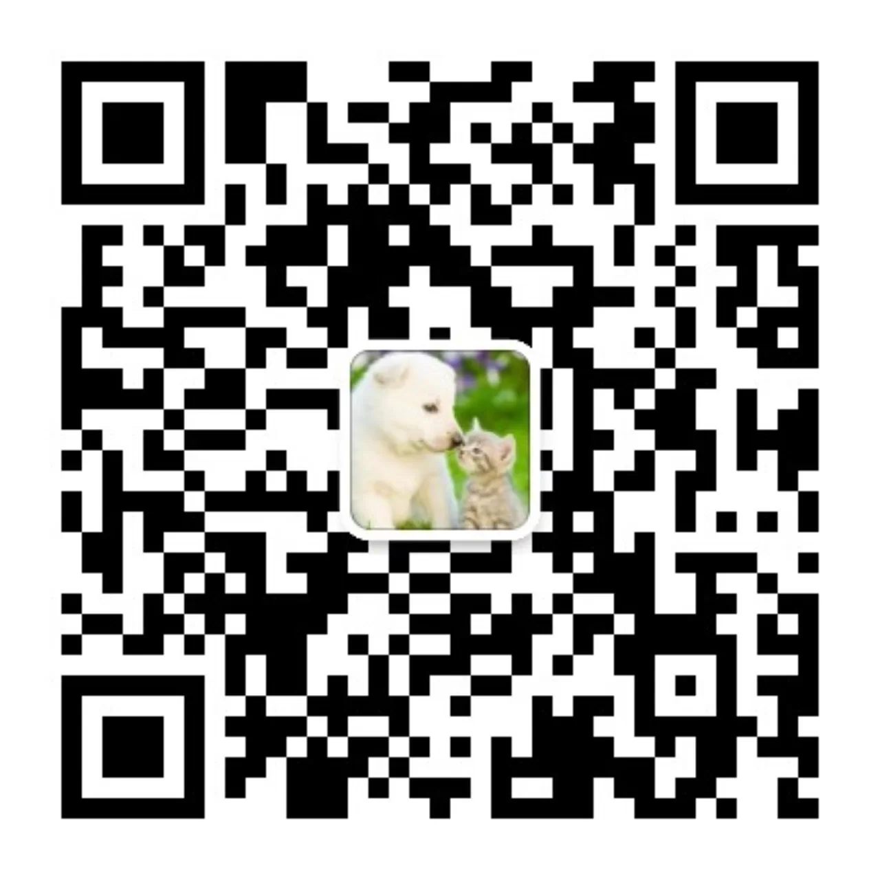 扫码关注公众号-赴一场温柔与热爱的相遇✨ - 寻梦时光是一处治愈心灵、收藏美好、奔赴热爱的专属空间，这里有细碎欢喜，有并肩同行，愿每一位到来的你，都能不负时光，逐梦向阳寻梦时光